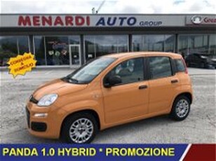 Fiat Panda 1.0 FireFly S&S Hybrid del 2021 usata a Bernezzo