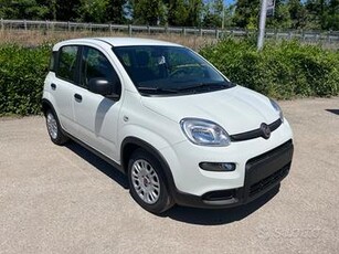 Fiat Panda 1.0 FireFly S&S Hybrid -2000 sconto ECO