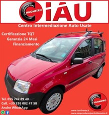 Fiat Panda 1.2 4x4 usato