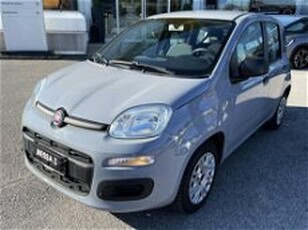 Fiat Panda 1.2 Easy del 2017 usata a Monza