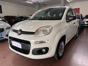 Fiat Panda 1.2 Easy usato