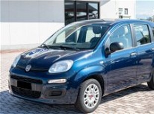 Fiat Panda 1.2 EasyPower Easy del 2019 usata a Cirie'
