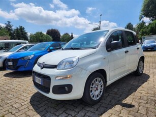 Fiat Panda 1.3 MJT S&S Easy Van 4 posti usato