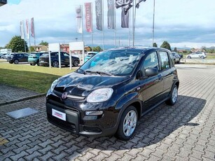 Fiat Panda 51 kW