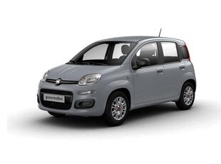 Fiat Panda III 2021 1.0 firefly hybrid City Life s and s 70cv