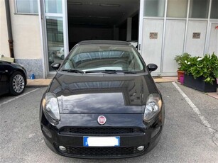 Fiat Punto 1.2 8V 5 porte Street usato