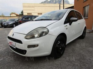 Fiat Punto 1.2 8V 5 porte Young usato