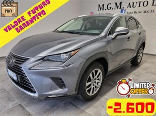 Lexus NX Hybrid 4WD Business usato