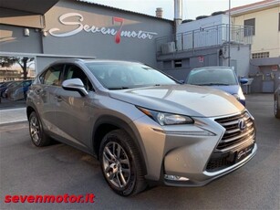 Lexus NX Hybrid 4WD Executive usato