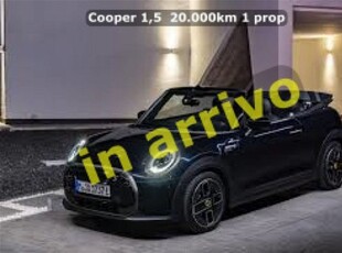 MINI Mini Cabrio 1.5 Cooper Cabrio usato