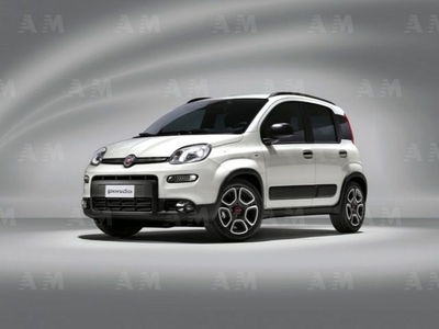 Fiat Panda 1.0 FireFly S&S Hybrid City Cross usato