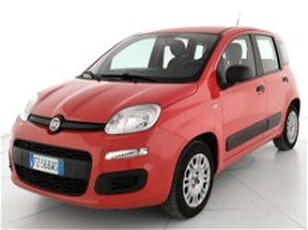 Fiat Panda 1.2 EasyPower Easy del 2019 usata a Roma