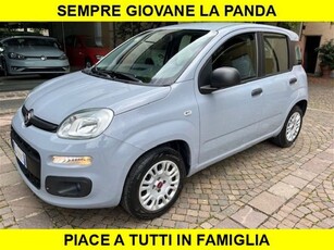 Fiat Panda 1.2 usato