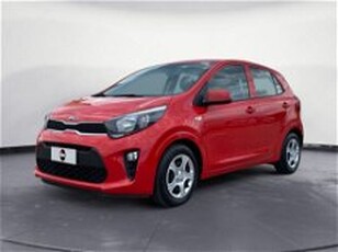 Kia Picanto 1.0 12V 5 porte Urban del 2021 usata a Pordenone