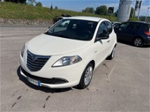 Lancia Ypsilon 1.2 69 CV 5 porte GPL Ecochic Gold del 2015 usata a Barga