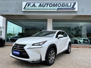 Lexus NX Hybrid 4WD Executive usato