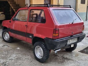 Usato 1987 Fiat Panda 4x4 1.1 LPG_Hybrid 50 CV (5.000 €)
