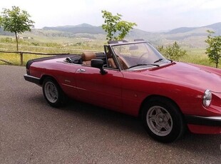 Usato 1988 Alfa Romeo Spider 1.6 Benzin 101 CV (22.000 €)