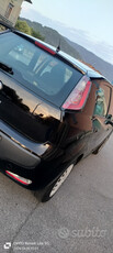 Usato 2011 Fiat Punto Evo 1.2 Diesel 75 CV (3.600 €)