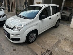 Usato 2017 Fiat Panda 1.2 Diesel 80 CV (8.999 €)