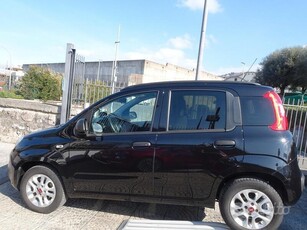 Usato 2018 Fiat Panda 1.2 LPG_Hybrid 69 CV (8.990 €)