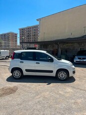 Usato 2019 Fiat Panda 1.2 Benzin 69 CV (7.900 €)