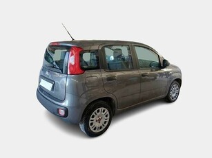 Usato 2019 Fiat Panda 1.4 Benzin 69 CV (9.750 €)