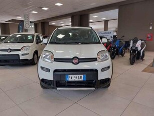 Usato 2019 Fiat Panda 4x4 0.9 Benzin 86 CV (10.750 €)