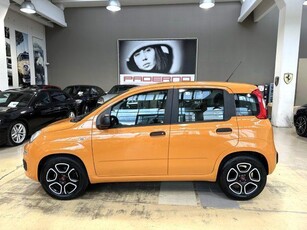 Usato 2022 Fiat Panda 1.0 El_Hybrid 70 CV (10.500 €)