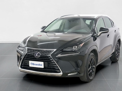 Lexus NX Hybrid 4WD