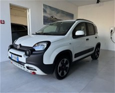 Fiat Panda 1.0 FireFly S&S Hybrid City Cross del 2023 usata a Parma