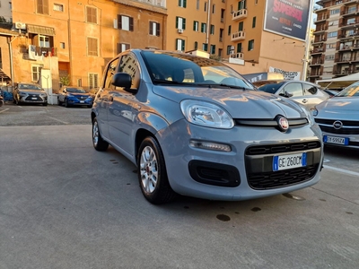 Fiat Panda 1.0 FireFly SS Hybrid City Life