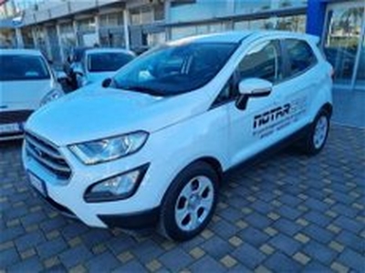 Ford EcoSport 1.5 Ecoblue 95 CV Start&Stop del 2021 usata a Monopoli