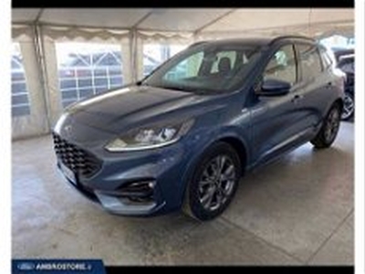 Ford Kuga 1.5 EcoBlue 120 CV 2WD ST-Line del 2020 usata a Milano