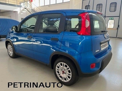 FIAT PANDA 1.0 FireFly S&S Hybrid Km.0 KM 0 PETRIN SNC