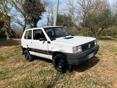 Usato 1988 Fiat Panda 4x4 1.0 LPG_Hybrid 50 CV (3.900 €)