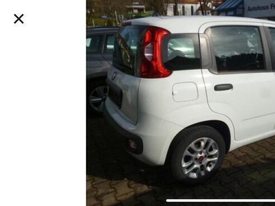 Usato 2015 Fiat Panda 1.2 Benzin 69 CV (8.850 €)