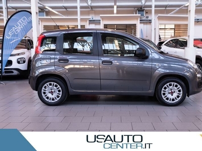 Usato 2018 Fiat Panda LPG_Hybrid (10.900 €)