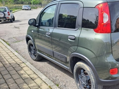 Usato 2019 Fiat Panda 4x4 0.9 Benzin 85 CV (15.000 €)