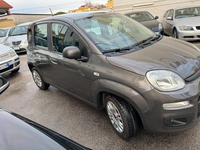 Usato 2020 Fiat Panda 1.2 Benzin 69 CV (8.799 €)