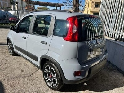 Usato 2022 Fiat Panda 1.2 LPG_Hybrid 69 CV (12.699 €)