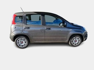 FIAT PANDA 1.0 70cv S/S Hybrid E6d-T Easy 5 PORTE