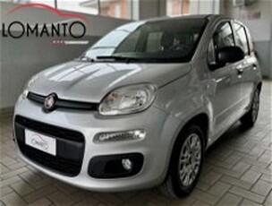 Fiat Panda 1.2 Easy del 2017 usata a Torino