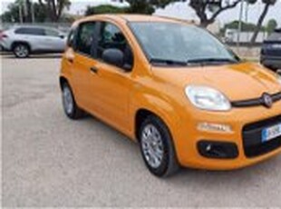 Fiat Panda 1.0 firefly hybrid s&s 70cv 5p.ti del 2021 usata a Bari