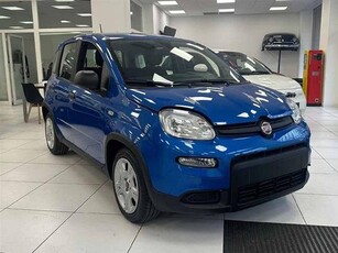 FIAT PANDA 1.0 FireFly S&S Hybrid KM 0 JAZZONI