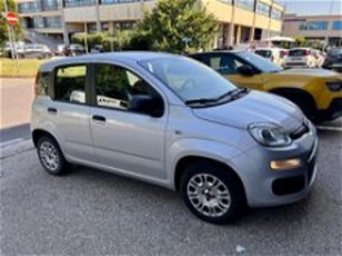 Fiat Panda 1.2 Easy del 2019 usata a Modena