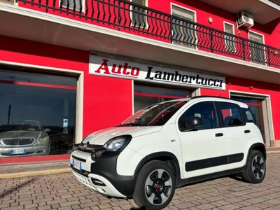 Fiat Panda Cross Cross 1.0 FireFly S&S Hybrid usato