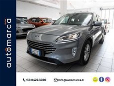 Ford Kuga 1.5 EcoBlue 120 CV 2WD Titanium my 19 del 2020 usata a Silea