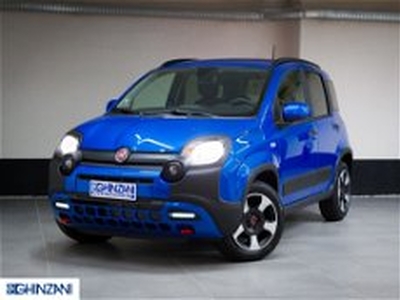 Fiat Panda Cross Cross 1.0 FireFly S&S Hybrid del 2023 usata a San Paolo d'Argon