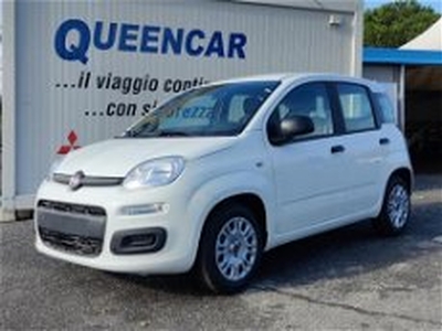 Fiat Panda 1.0 firefly hybrid s&s 70cv 5p.ti del 2022 usata a Pianezza